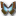 Morpho Cissis Icon 16x16px