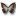 Morpho Theseus Amphotrion Icon 16x16px