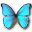 Morpho Godarti Icon 32x32px