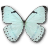Mint Morpho icon