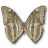 Morpho Adonis Huallega Bottom icon