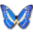 Morpho Cypres icon
