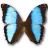 Morpho Deidamia Neoptolomous icon