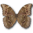 Morpho Didius Underside icon
