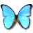 Morpho Didius icon