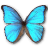 Morpho Godarti Icon 48x48px