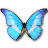 Morpho Helena Personal icon