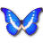 Morpho Helena icon
