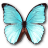 Morpho Menelaus Hubneri icon