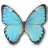 Morpho Portis Male icon