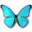 Morpho Rhetenor Cacica icon