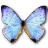 Morpho Sulkowski Pearl Morpho icon
