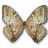 Morpho Sulkowski Underside icon