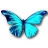 Rhetenor Morpho icon