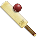 Cricket Icon