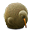 Kiwi Bird Icon 32x32px