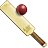 Cricket icon