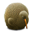 Kiwi Bird Icon 48x48px
