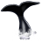 Whale Watching icon