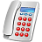 phone icon
