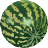 water melon icon