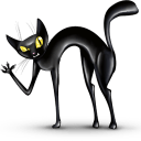 Crazy cat Icon 128x128px