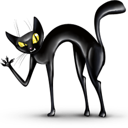 Crazy cat Icon