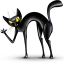 Crazy cat Icon 64x64px