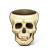 skull empty icon
