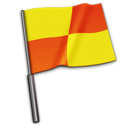 Referee flag Icon