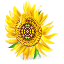 Sunflower Icon 64x64px