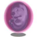 In Utero Icon