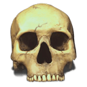 Skull Icon