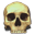 Skull Icon 32x32px