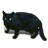 Cat icon