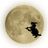 Moon icon