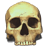 Skull Icon 48x48px