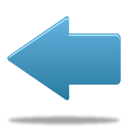 Back Icon