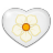 Magnolia icon