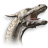 Dragon icon