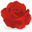 rose icon
