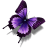 Other Butterfly icon