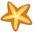 starfish icon