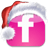 Flickr icon
