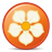 Magnolia icon