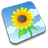 wallpaper icon