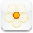 Magnolia icon