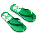 Slipper 1 Icon