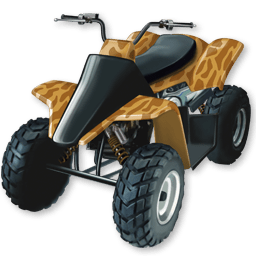 quad-icon.png