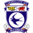 Cardiff City icon